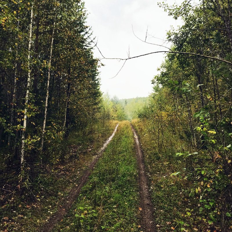 едем