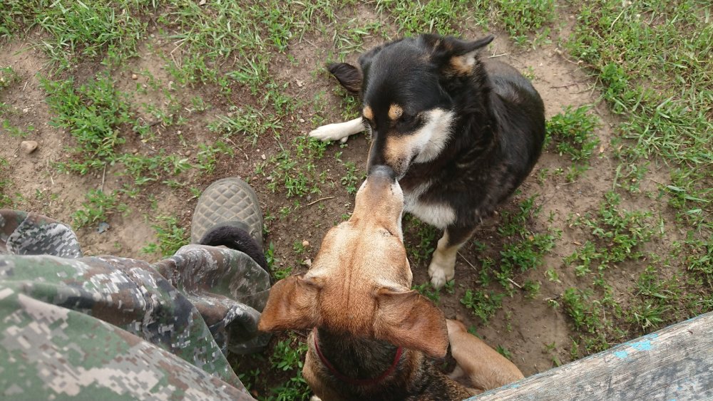 это любовь