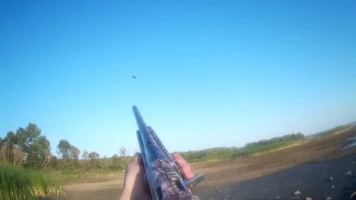 На вечерней зорьке