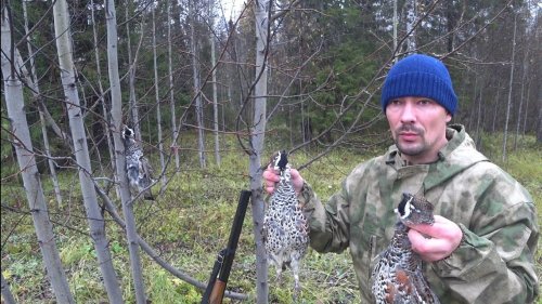 Меткие выстрелы. Стрельба по летящей птице