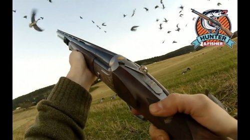 Сумасшедшая охота на гуся осенью! Потрясающие налеты!!