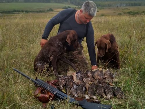 Водоплавающая 2019