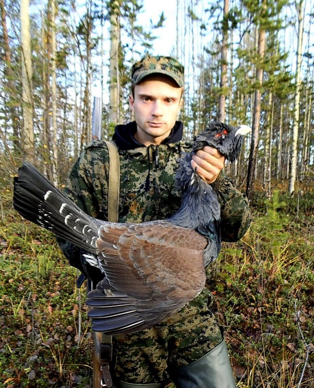 Самый большой мой глухарь.