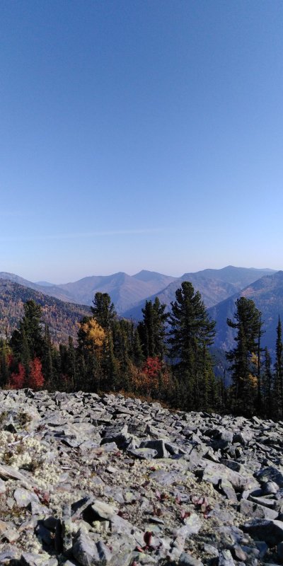 Осень в тайге