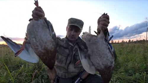 Охота на утку осенью с подхода. Четкие выстрелы и трофей взят