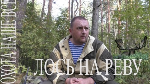 Как и чем правильно вабить лося. Бык на гону.