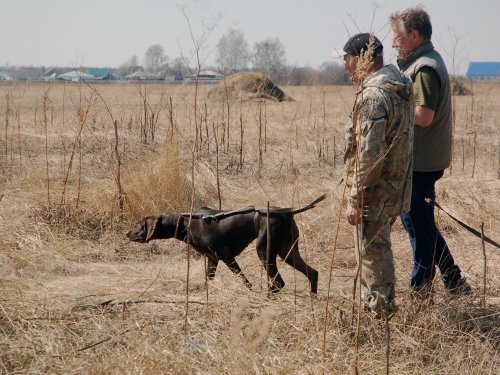 Снимаем гоньбу