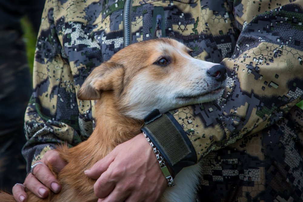 мой первый сабокан.