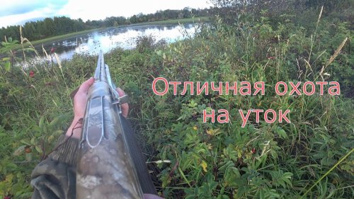 Отличная охота на уток