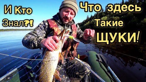 И КТО ЗНАЛ, ЧТО ЗДЕСЬ ТАКИЕ ЩУКИ! ОСЕНЬ РАДУЕТ РЫБАЛКОЙ! СНИМАЮ СЕТИ БРАКОНЬЕРОВ!