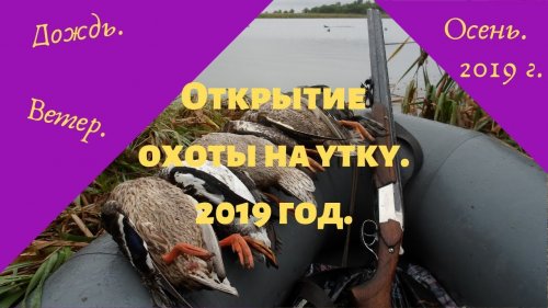 Открытие охоты на утку.2019 год.
