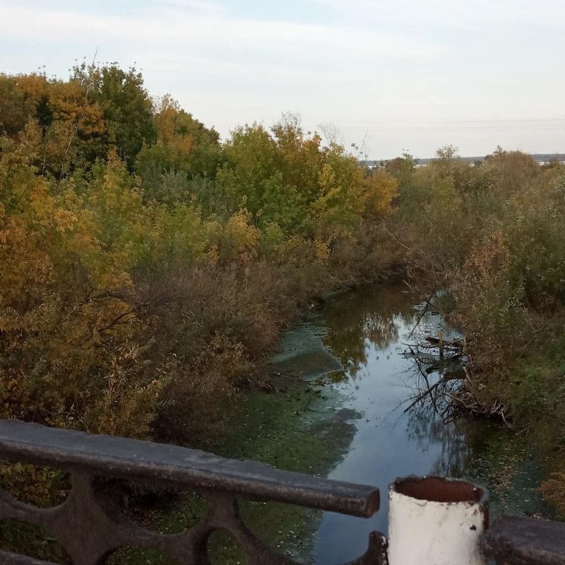 Краски осени