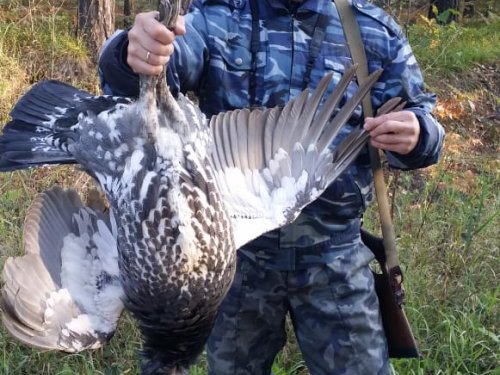первый мошник осенью 2019!!!