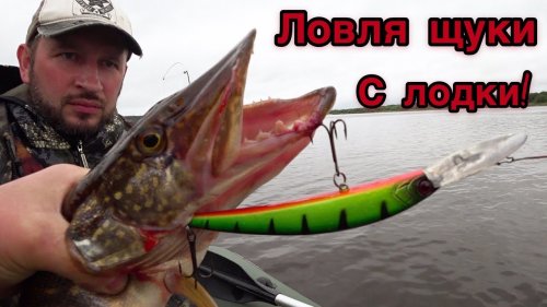 Ловля Щуки и Окуня на Спиннинг в Сентябре/Рыбалка в Пасмурную Погоду Ветер Дождь и Рыба Есть!