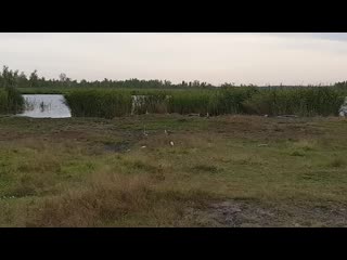 Перед открытием