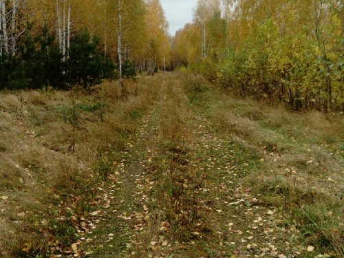 Осень