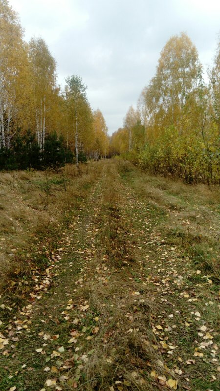 Осень