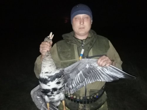 Закрылся по водоплавающей.