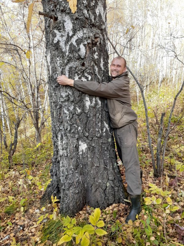 Не объятная, невестушка...