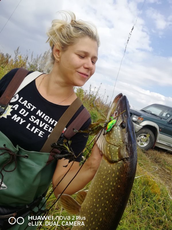 Победитель дня
