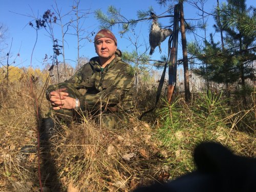 Рябой тетерев? Тетеревиный рябчик?
