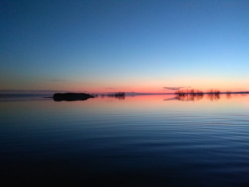 Горькое