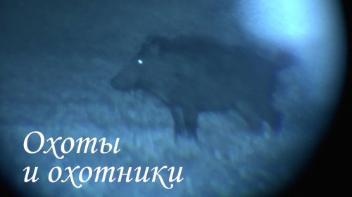 Депопуляция дикого кабана как она есть - трейлер