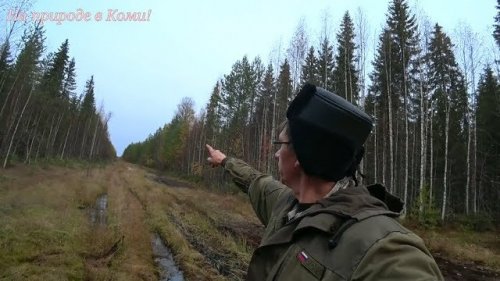 Удачный поход на таёжную речку  1 серия. Трудный путь.