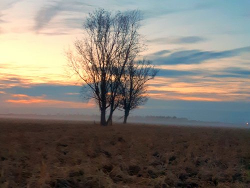 Природа ХМАО