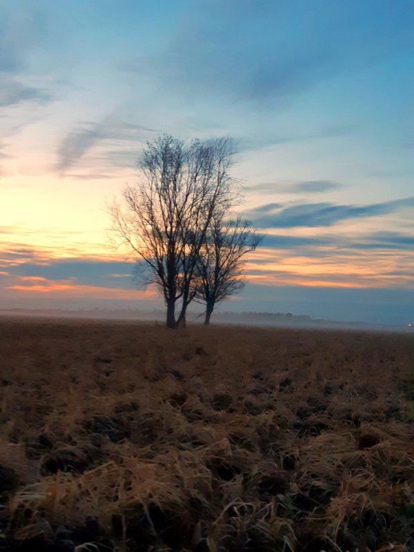 Природа ХМАО