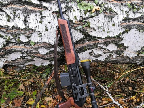 Кабанчик308 к сезону готов
