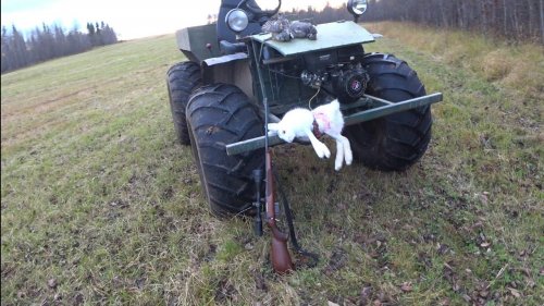 ОХОТА В ТАЙГЕ / СТРЕЛЯЛ ГЛУХАРЯ, А ВЗЯЛ ЗАЙЦА! ПОЕЗДКА НА КАРАКАТЕ.