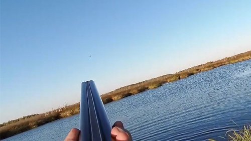 Охота на утку. Подборка лучших моментов сезона 2019