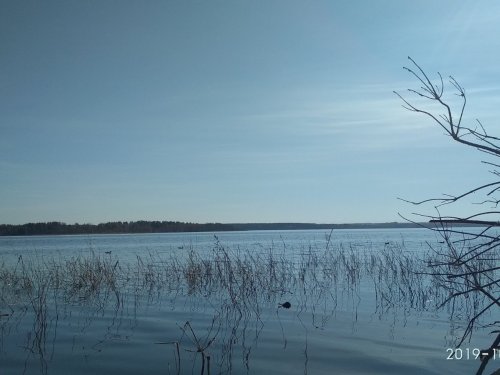 Горькое.