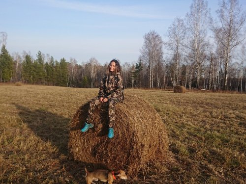 осенний солнечный день