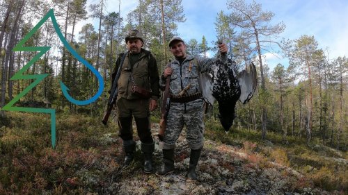 Охота на глухаря. Часть 5. Тайга у Белого моря