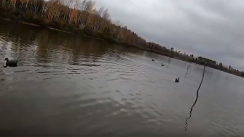 Оркестр подсадных. По нулям. И такое бывает