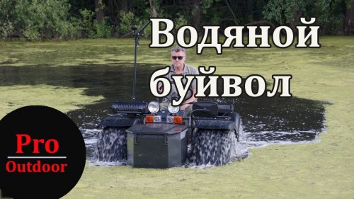 Водяной буйвол - Zubr Arnee