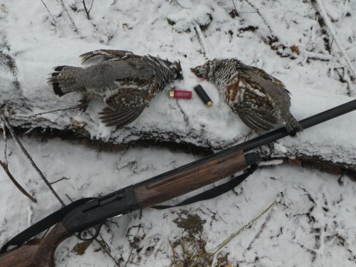 На манок