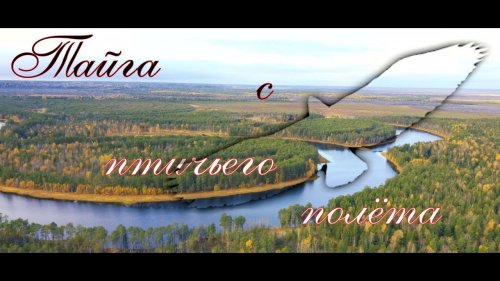 Тайга-любовь моя.Taiga-my love.