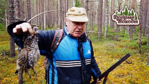 ОХОТА С БАТЯНЕЙ. ОН ДОБЫЛ РЯБЦА, А Я ГЛУХАРЯ.