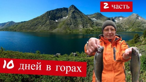 10 дней в горах без продуктов по Плато Укок 2 часть