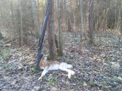 По чёрной тропе