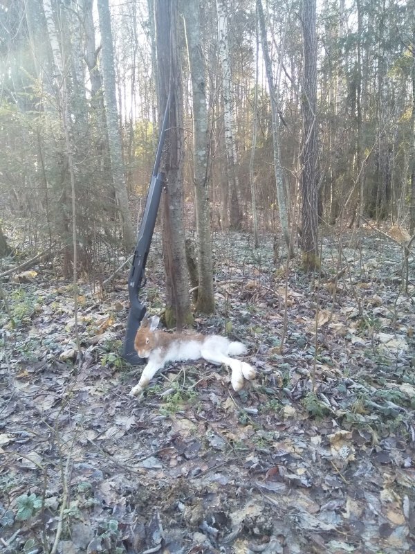 По чёрной тропе