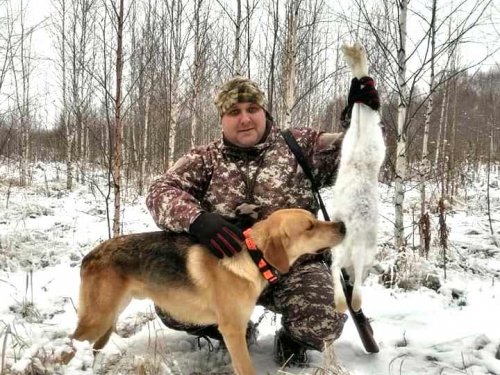 Первый зайчик из под "Гона"