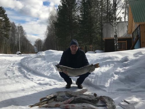 Жерлицы
