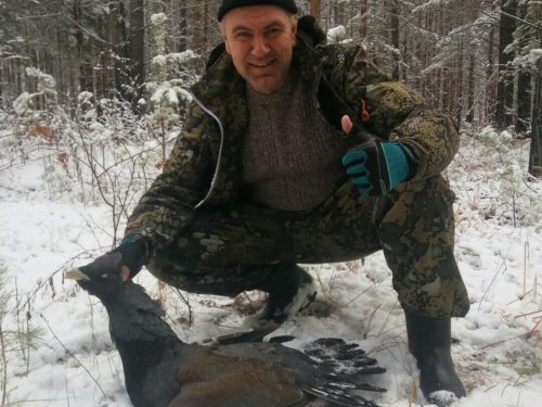 Глухарик...