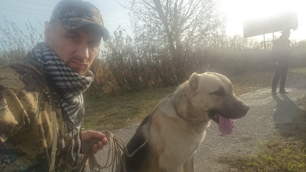 добрый пёс