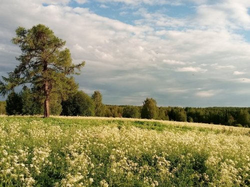 Была деревня