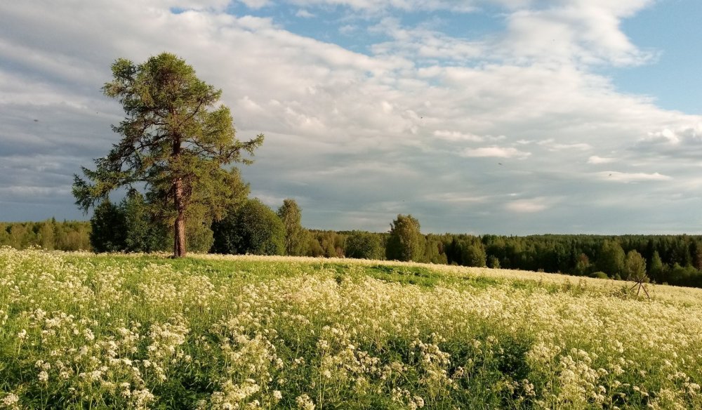 Была деревня